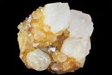 Sunshine Cactus Quartz Crystal Cluster - South Africa #80197-1